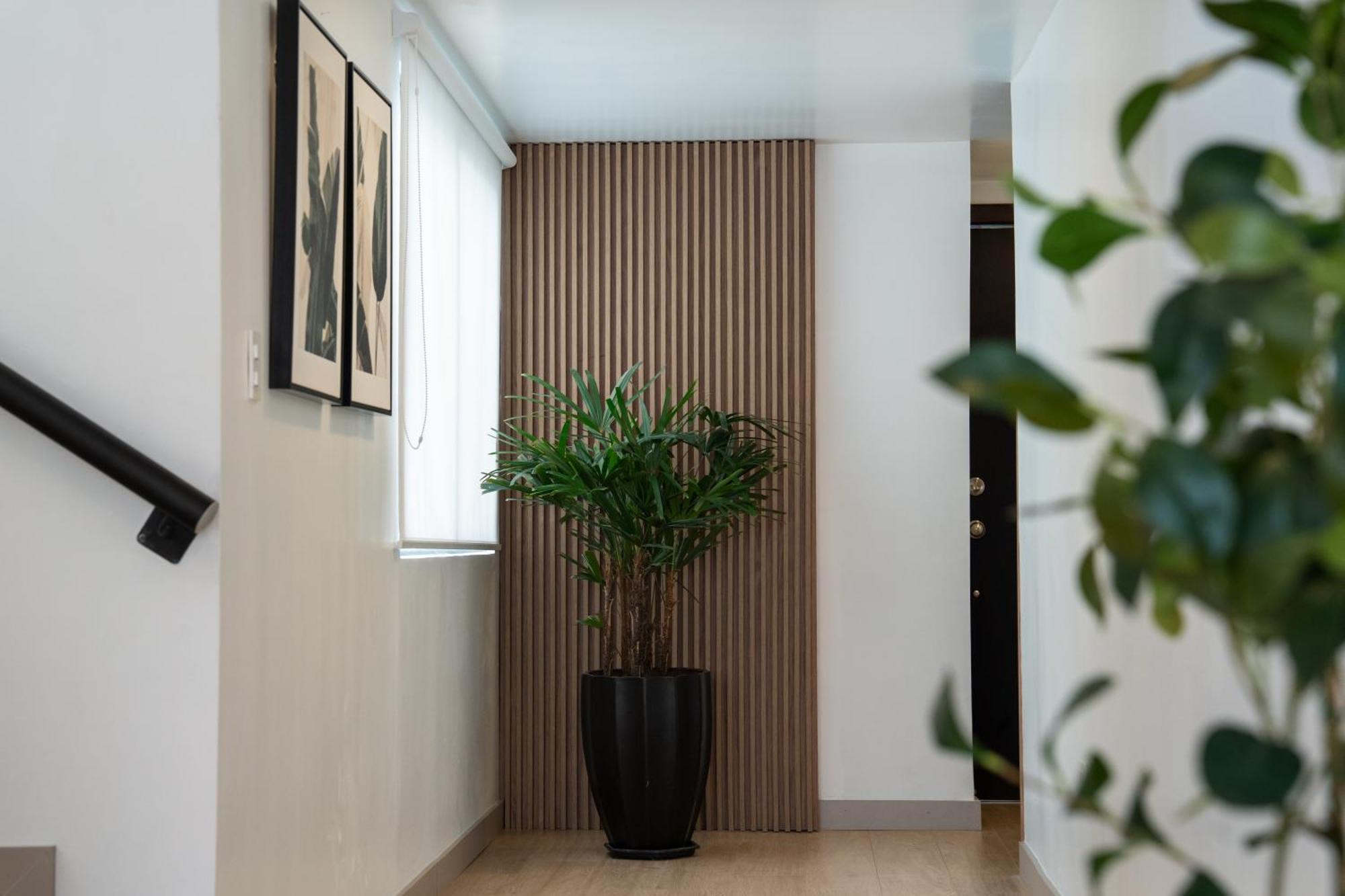 Spectacular Flat,3 Bedrooms, Central, Terrace, Free Parking クエンカ エクステリア 写真